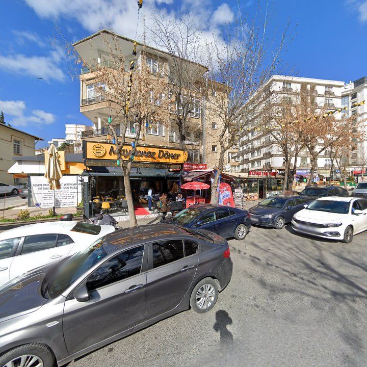 Fotoğraf 9