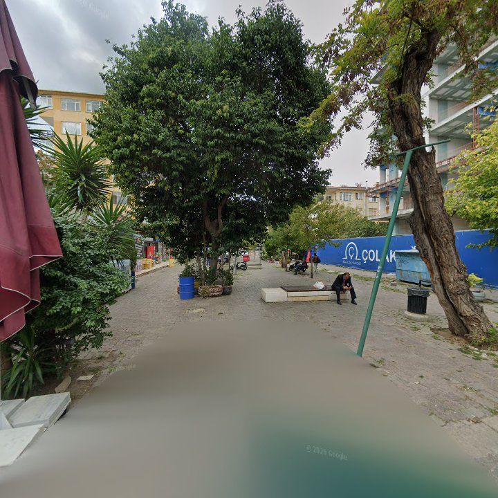 Fotoğraf 10