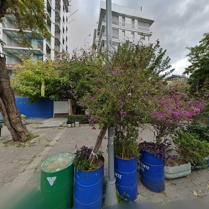 Fotoğraf 11