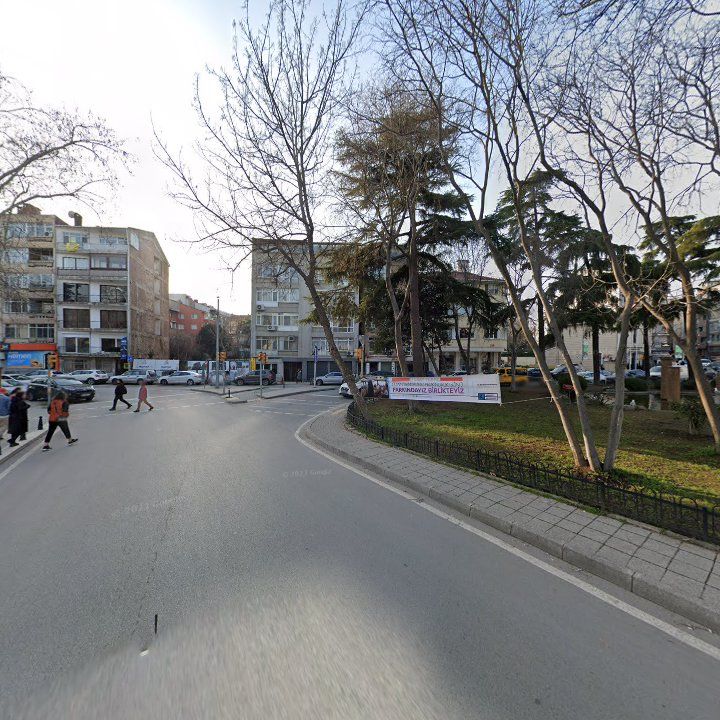 Fotoğraf 15
