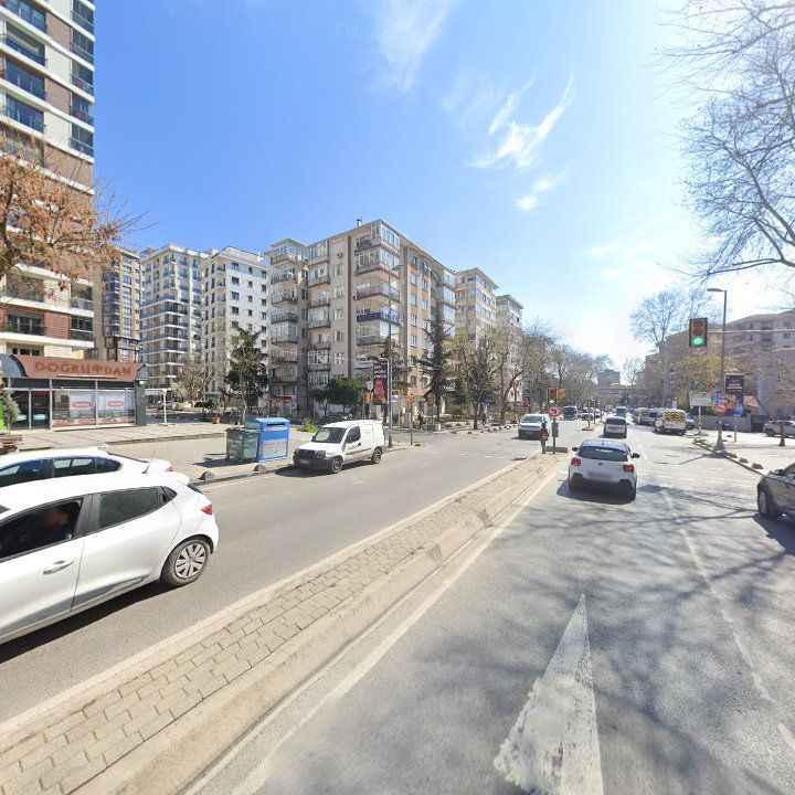 Fotoğraf 12