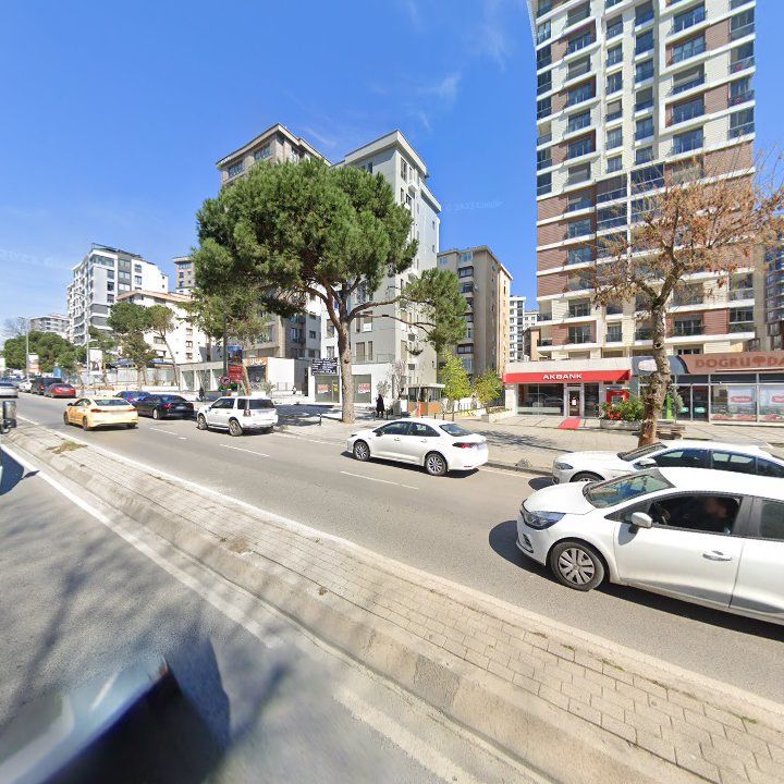 Fotoğraf 11