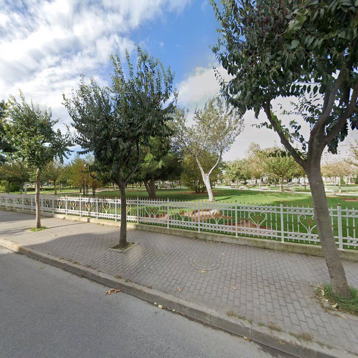 Fotoğraf 15