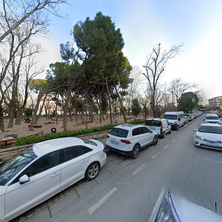 Fotoğraf 16