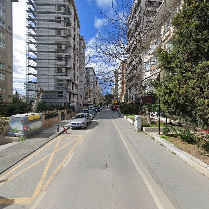 Fotoğraf 10