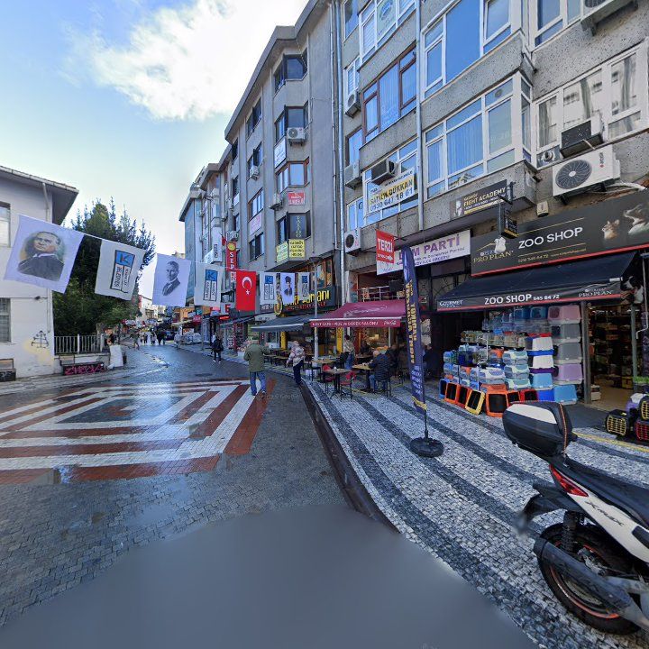 Fotoğraf 12