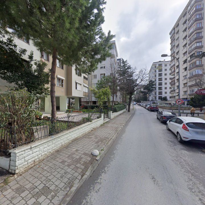 Fotoğraf 13