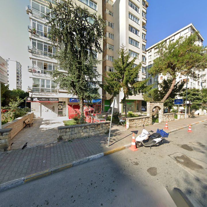 Fotoğraf 14