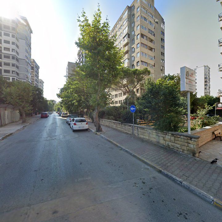 Fotoğraf 13