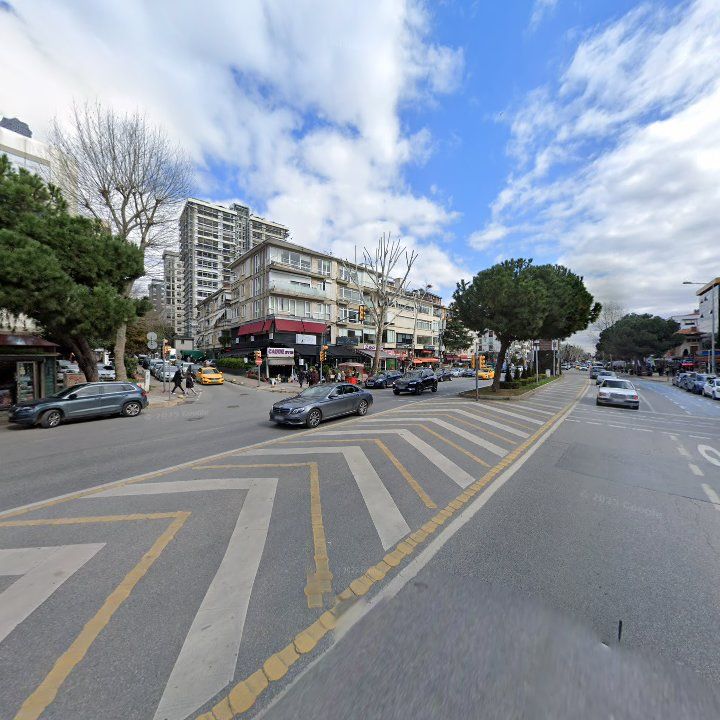 Fotoğraf 15