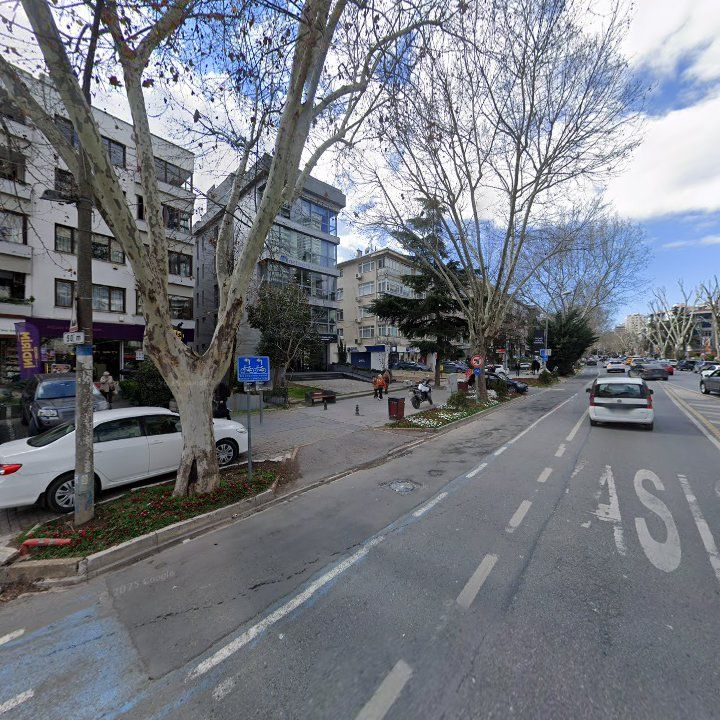 Fotoğraf 17