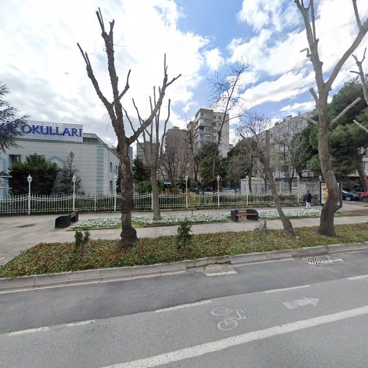 Fotoğraf 10
