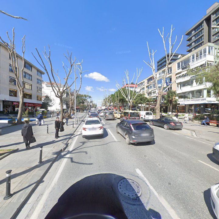 Fotoğraf 12