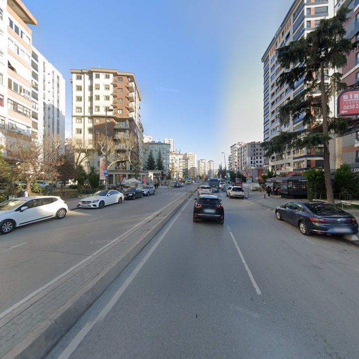 Fotoğraf 16