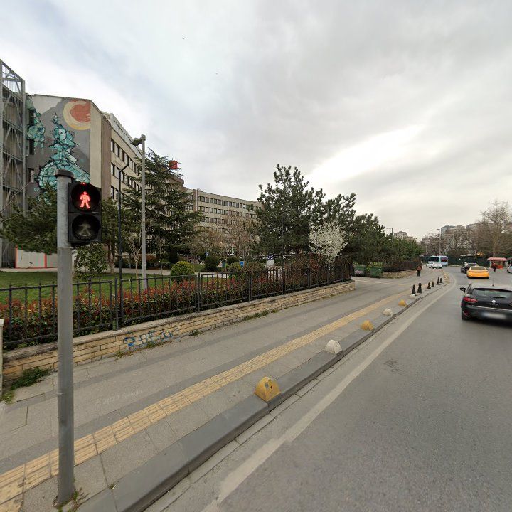 Fotoğraf 12