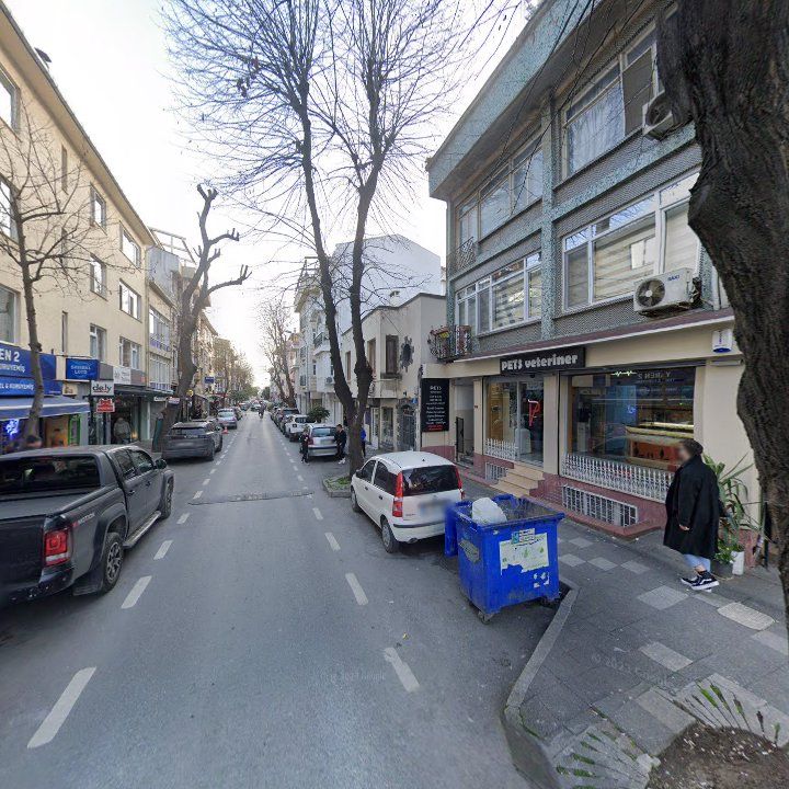 Fotoğraf 12