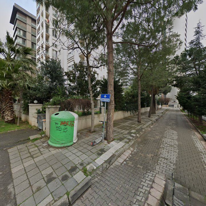 Fotoğraf 13