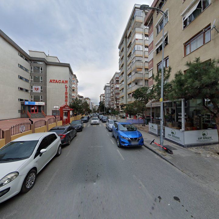 Fotoğraf 10