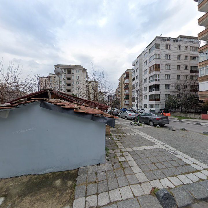 Fotoğraf 11
