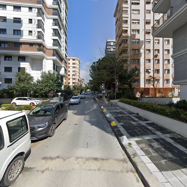 Fotoğraf 12