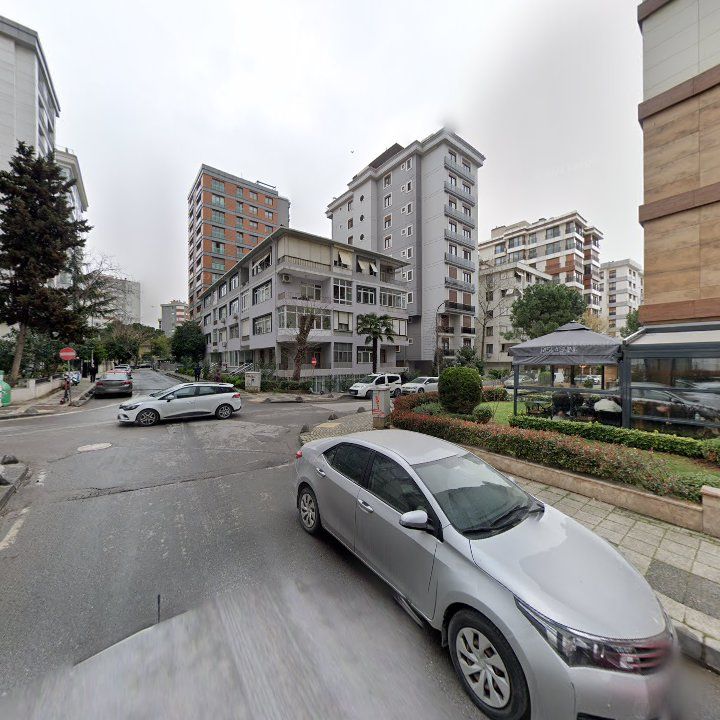 Fotoğraf 13