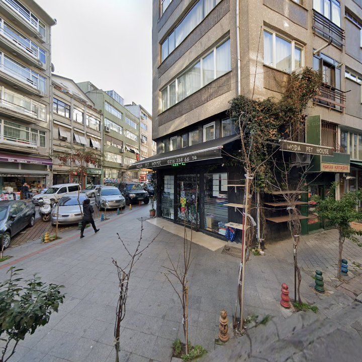 Fotoğraf 14