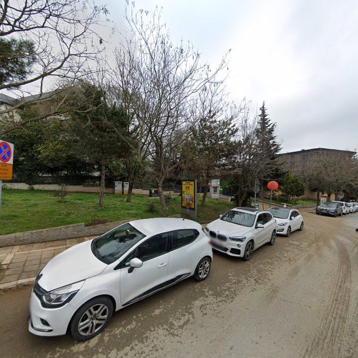 Fotoğraf 11