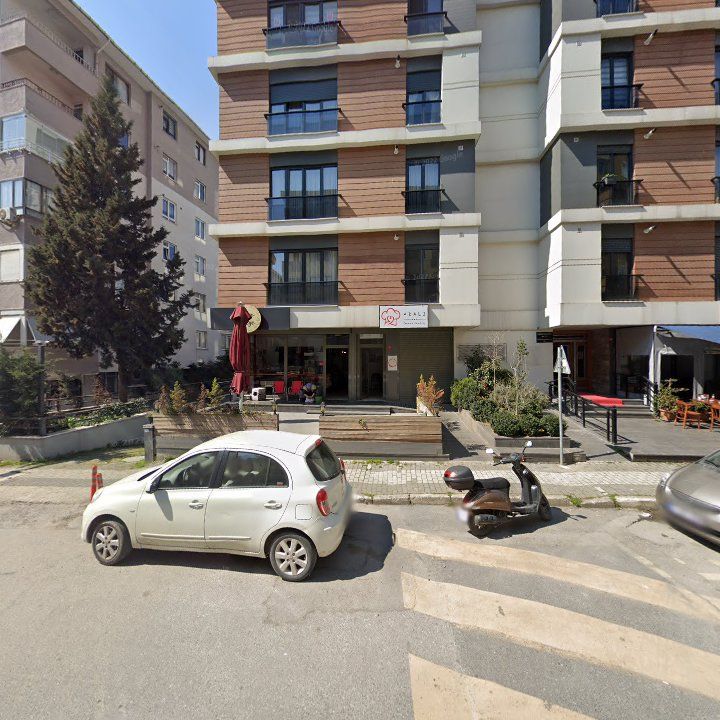 Fotoğraf 12
