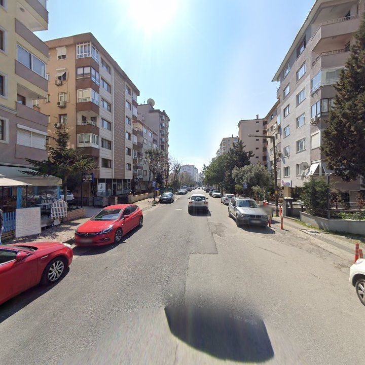 Fotoğraf 11