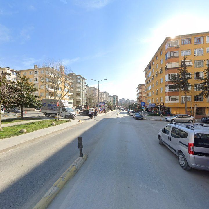 Fotoğraf 8
