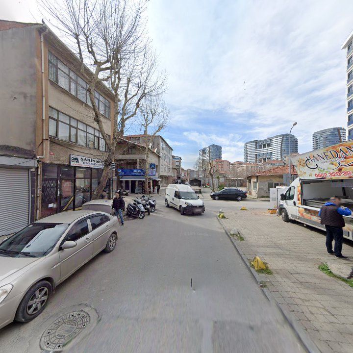 Fotoğraf 6