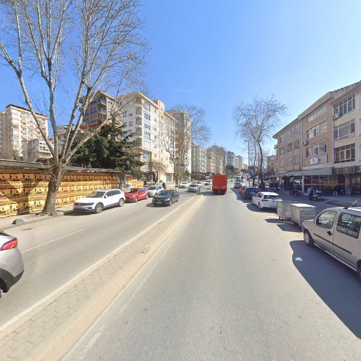 Fotoğraf 14