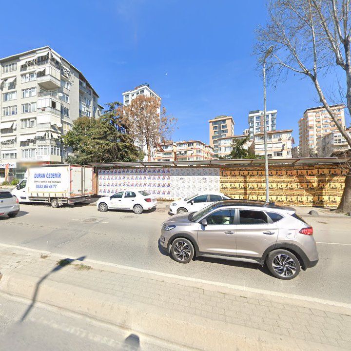 Fotoğraf 13