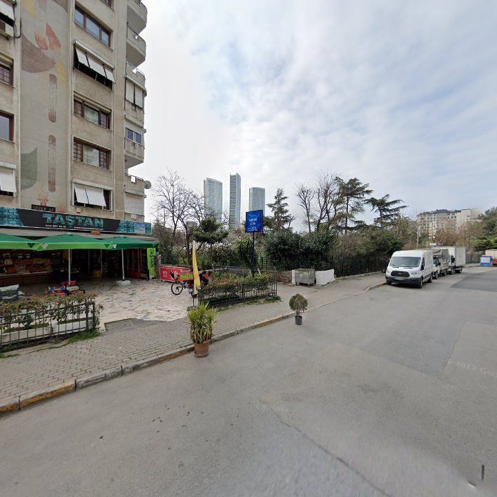 Fotoğraf 11