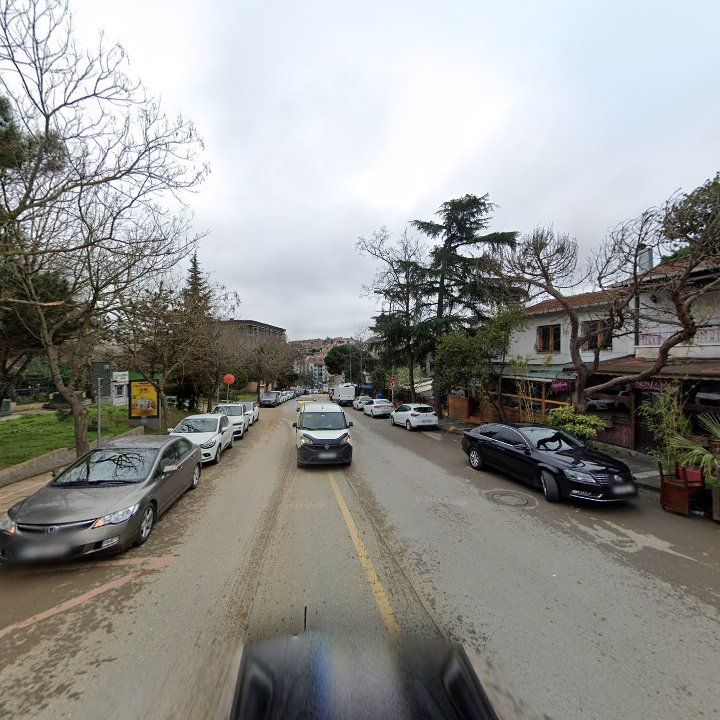 Fotoğraf 10