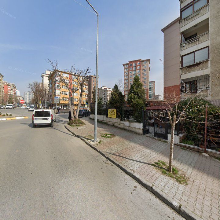 Fotoğraf 12