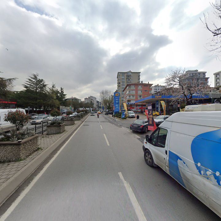 Fotoğraf 8