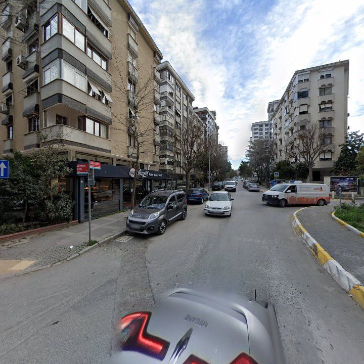 Fotoğraf 11