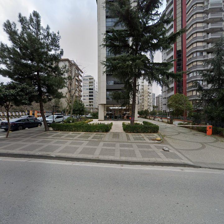 Fotoğraf 12