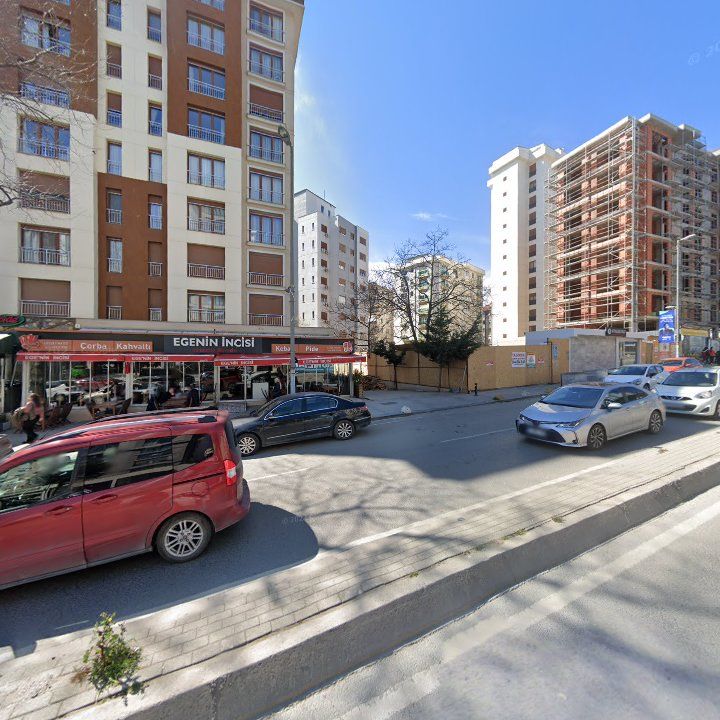 Fotoğraf 14