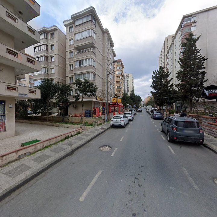 Fotoğraf 11