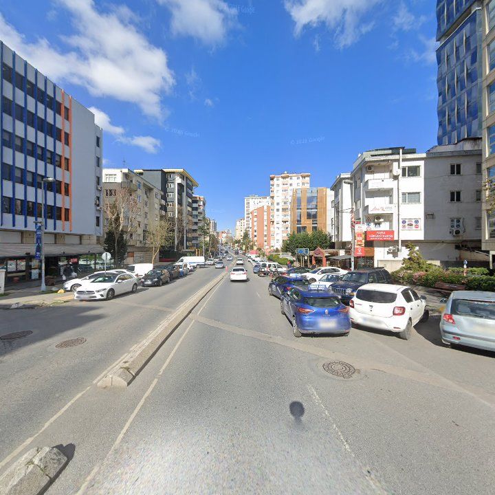 Fotoğraf 15