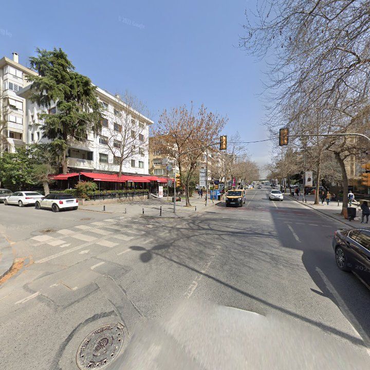 Fotoğraf 12