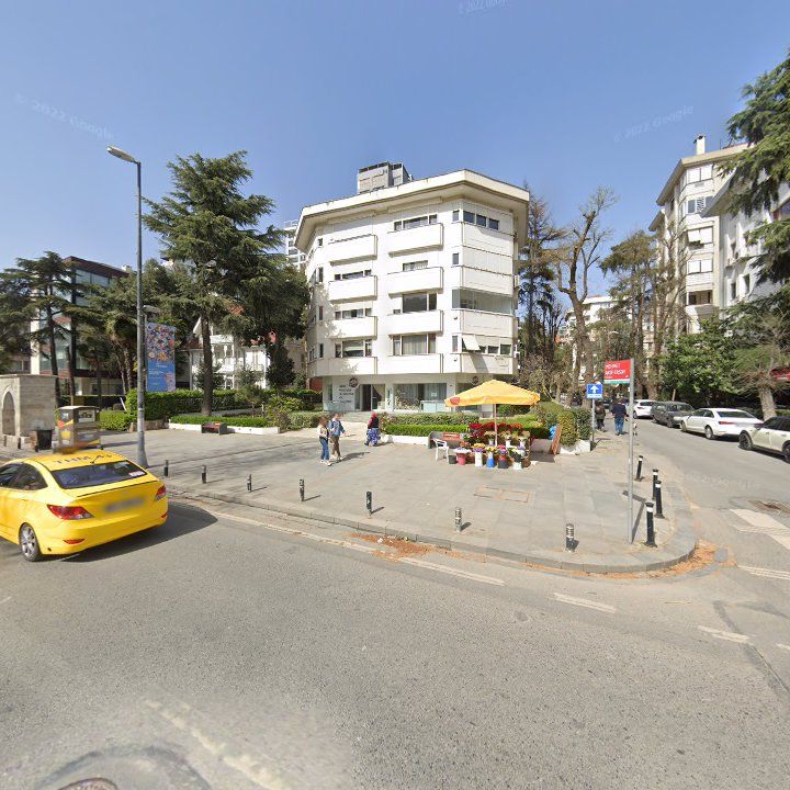 Fotoğraf 11