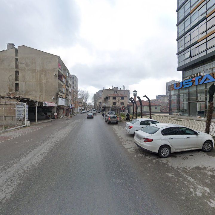 Fotoğraf 12
