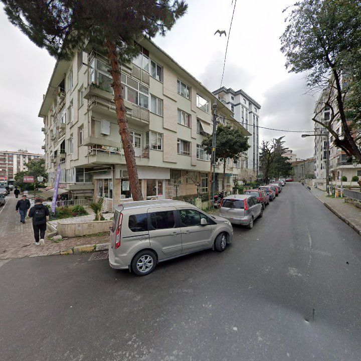 Fotoğraf 12