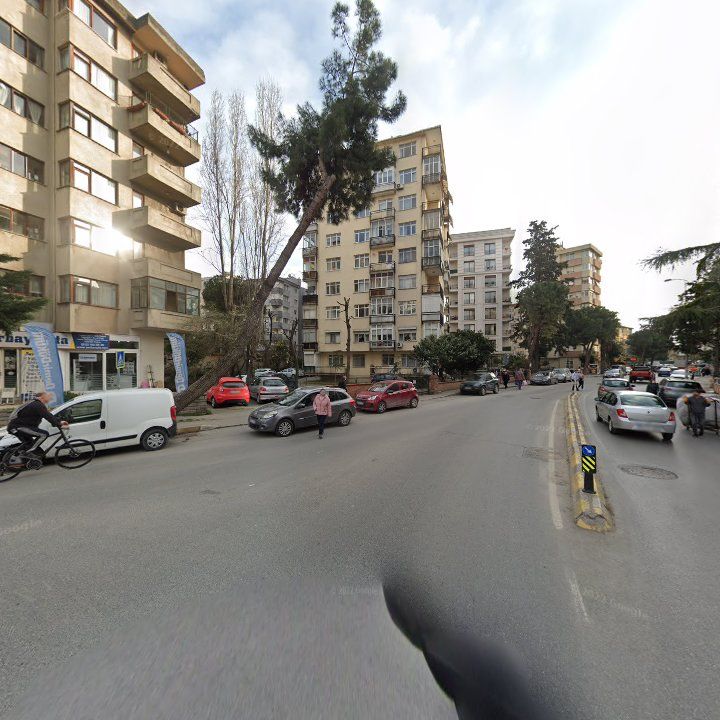 Fotoğraf 12