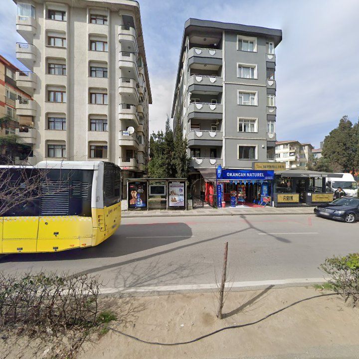 Fotoğraf 11