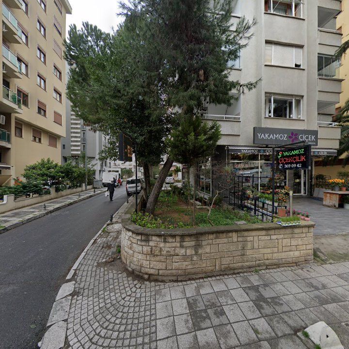 Fotoğraf 11