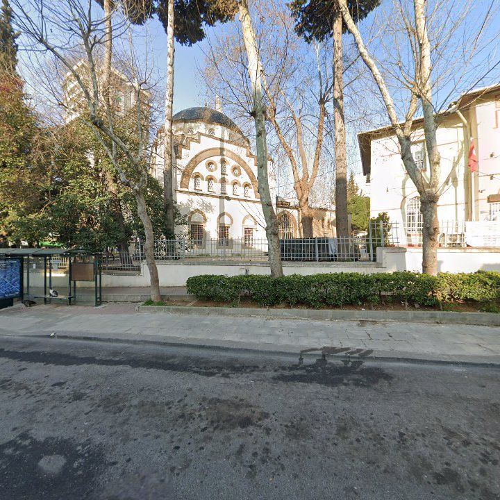 Fotoğraf 11
